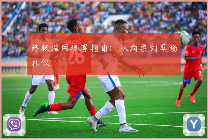 终极温网观赛指南：从购票到草场礼仪