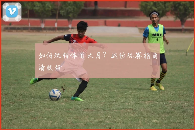 如何玩转体育大月？这份观赛指南请收好